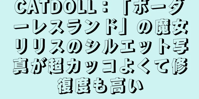 CATDOLL：「ボーダーレスランド」の魔女リリスのシルエット写真が超カッコよくて修復度も高い