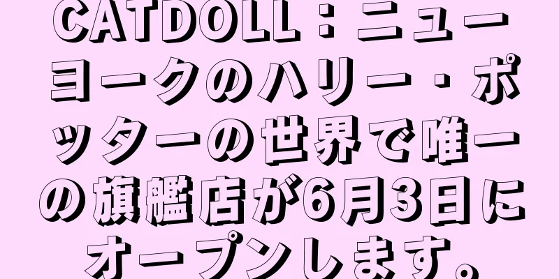 CATDOLL：ニューヨークのハリー・ポッターの世界で唯一の旗艦店が6月3日にオープンします。
