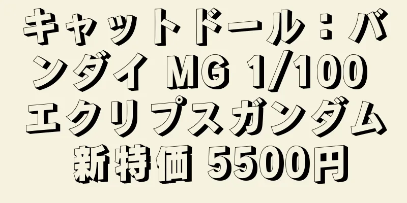 キャットドール：バンダイ MG 1/100 エクリプスガンダム 新特価 5500円