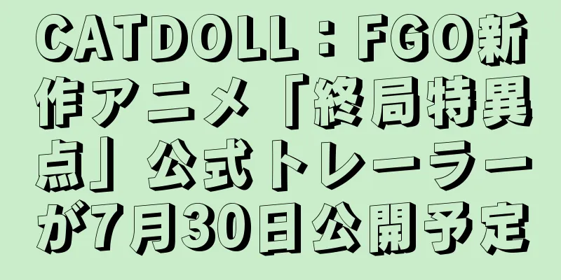 CATDOLL：FGO新作アニメ「終局特異点」公式トレーラーが7月30日公開予定