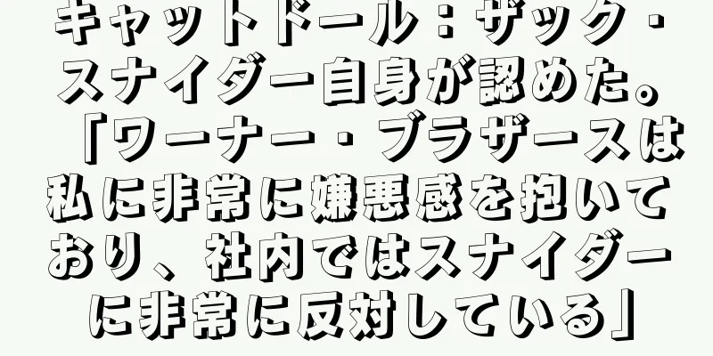 キャットドール：ザック・スナイダー自身が認めた。「ワーナー・ブラザースは私に非常に嫌悪感を抱いており、社内ではスナイダーに非常に反対している」