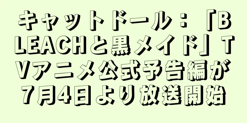 キャットドール：「BLEACHと黒メイド」TVアニメ公式予告編が7月4日より放送開始