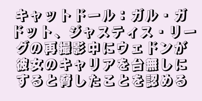 キャットドール：ガル・ガドット、ジャスティス・リーグの再撮影中にウェドンが彼女のキャリアを台無しにすると脅したことを認める