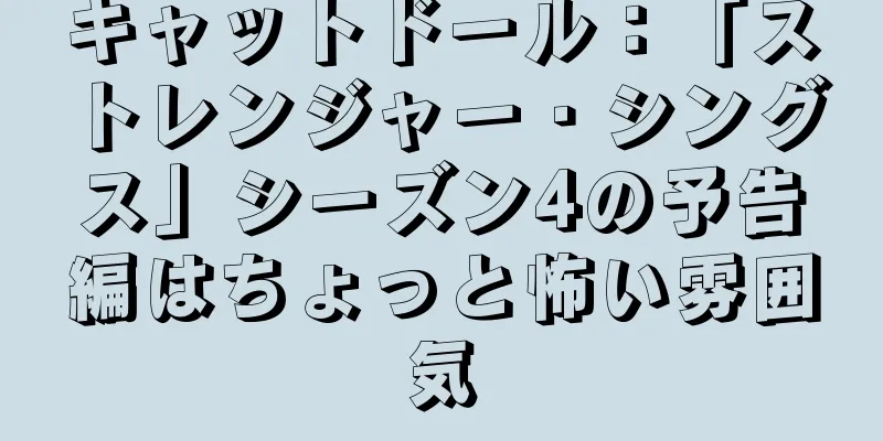 キャットドール：「ストレンジャー・シングス」シーズン4の予告編はちょっと怖い雰囲気