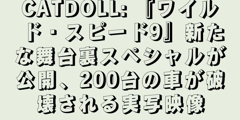 CATDOLL: 『ワイルド・スピード9』新たな舞台裏スペシャルが公開、200台の車が破壊される実写映像