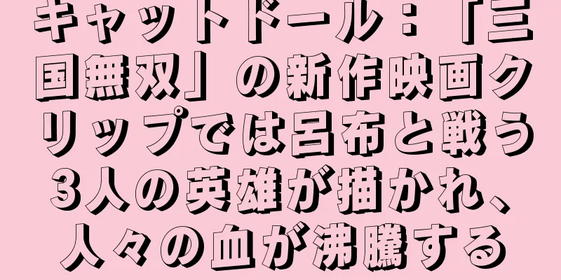 キャットドール：「三国無双」の新作映画クリップでは呂布と戦う3人の英雄が描かれ、人々の血が沸騰する