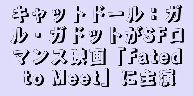 キャットドール：ガル・ガドットがSFロマンス映画「Fated to Meet」に主演
