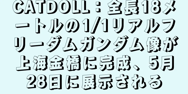 CATDOLL：全長18メートルの1/1リアルフリーダムガンダム像が上海金橋に完成、5月28日に展示される