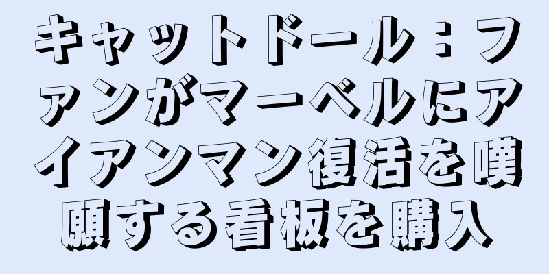 キャットドール：ファンがマーベルにアイアンマン復活を嘆願する看板を購入