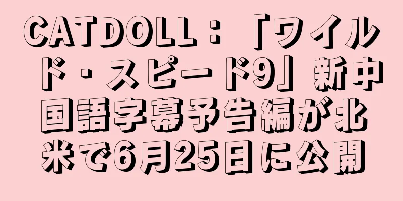 CATDOLL：「ワイルド・スピード9」新中国語字幕予告編が北米で6月25日に公開