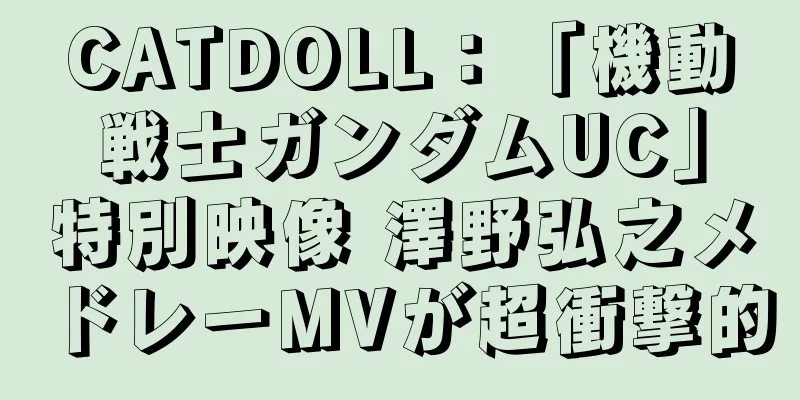 CATDOLL：「機動戦士ガンダムUC」特別映像 澤野弘之メドレーMVが超衝撃的