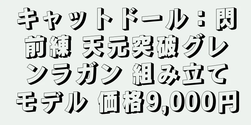 キャットドール：閃前練 天元突破グレンラガン 組み立てモデル 価格9,000円