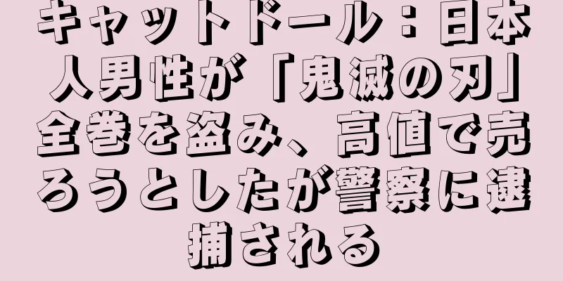 キャットドール：日本人男性が「鬼滅の刃」全巻を盗み、高値で売ろうとしたが警察に逮捕される