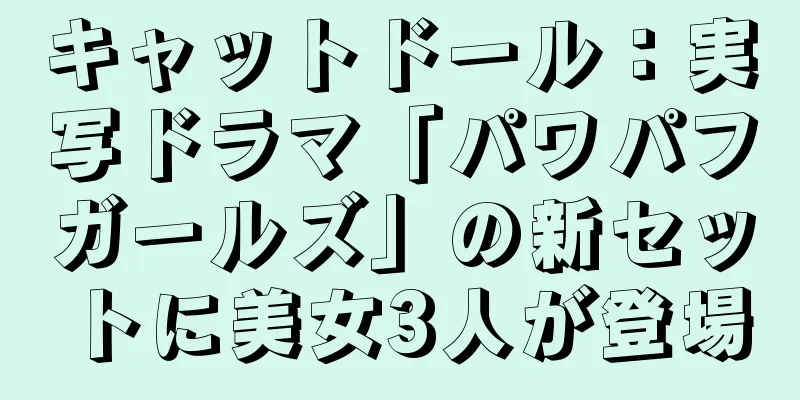キャットドール：実写ドラマ「パワパフガールズ」の新セットに美女3人が登場