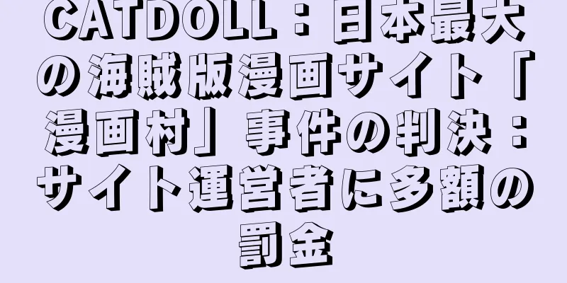 CATDOLL：日本最大の海賊版漫画サイト「漫画村」事件の判決：サイト運営者に多額の罰金