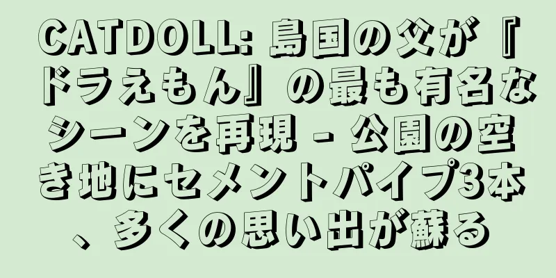 CATDOLL: 島国の父が『ドラえもん』の最も有名なシーンを再現 - 公園の空き地にセメントパイプ3本、多くの思い出が蘇る