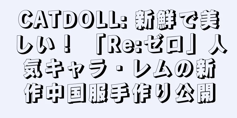 CATDOLL: 新鮮で美しい！ 「Re:ゼロ」人気キャラ・レムの新作中国服手作り公開