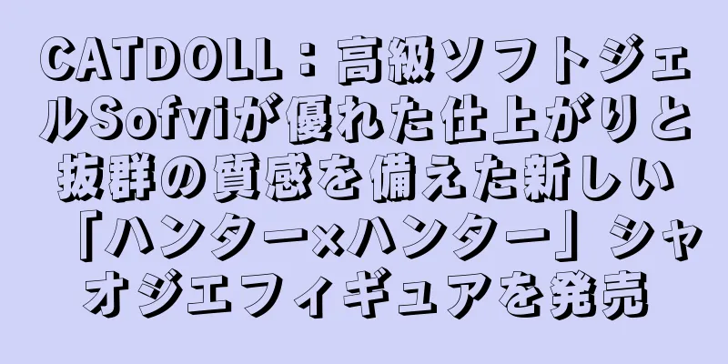 CATDOLL：高級ソフトジェルSofviが優れた仕上がりと抜群の質感を備えた新しい「ハンター×ハンター」シャオジエフィギュアを発売