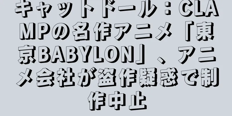 キャットドール：CLAMPの名作アニメ「東京BABYLON」、アニメ会社が盗作疑惑で制作中止