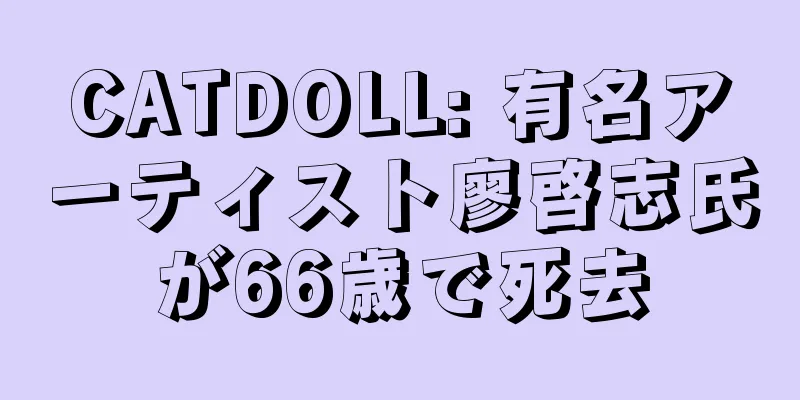 CATDOLL: 有名アーティスト廖啓志氏が66歳で死去