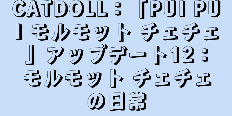 CATDOLL：「PUI PUI モルモット チェチェ」アップデート12：モルモット チェチェの日常