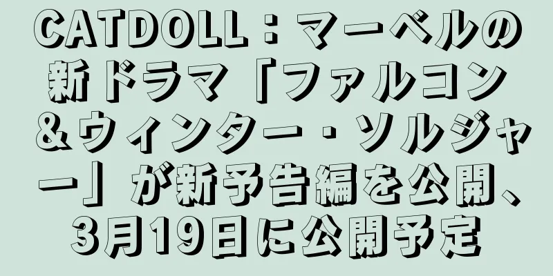 CATDOLL：マーベルの新ドラマ「ファルコン＆ウィンター・ソルジャー」が新予告編を公開、3月19日に公開予定