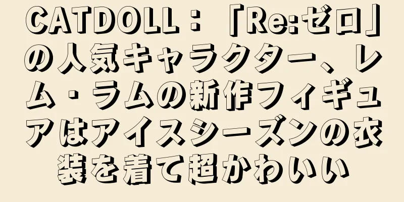 CATDOLL：「Re:ゼロ」の人気キャラクター、レム・ラムの新作フィギュアはアイスシーズンの衣装を着て超かわいい