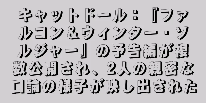 キャットドール：『ファルコン＆ウィンター・ソルジャー』の予告編が複数公開され、2人の親密な口論の様子が映し出された