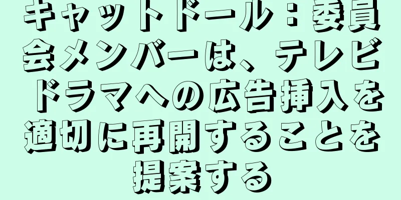 キャットドール：委員会メンバーは、テレビドラマへの広告挿入を適切に再開することを提案する