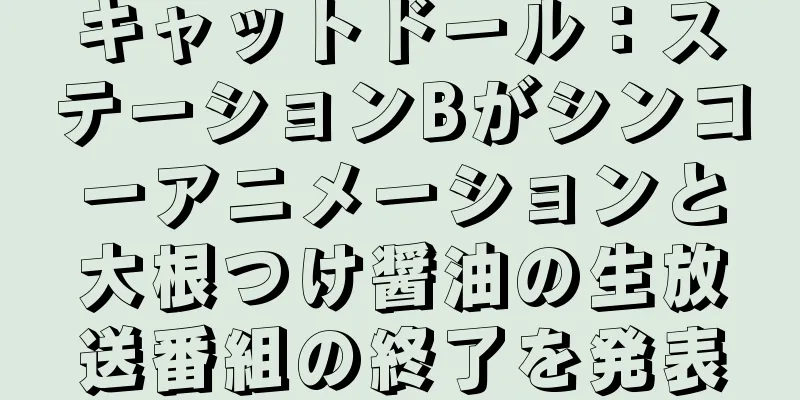 キャットドール：ステーションBがシンコーアニメーションと大根つけ醤油の生放送番組の終了を発表