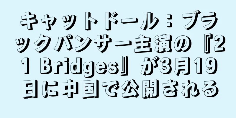 キャットドール：ブラックパンサー主演の『21 Bridges』が3月19日に中国で公開される