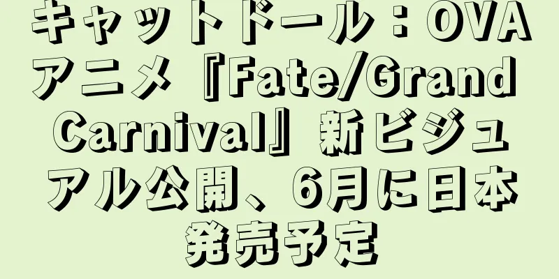 キャットドール：OVAアニメ『Fate/Grand Carnival』新ビジュアル公開、6月に日本発売予定