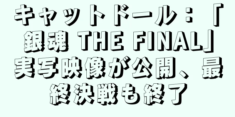キャットドール：「銀魂 THE FINAL」実写映像が公開、最終決戦も終了
