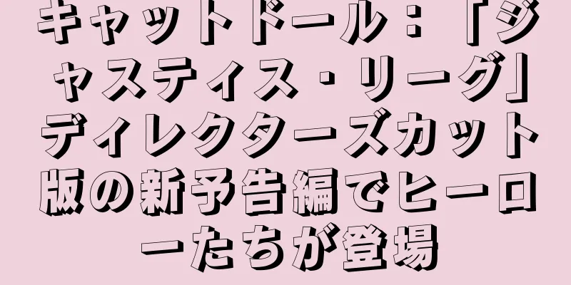 キャットドール：「ジャスティス・リーグ」ディレクターズカット版の新予告編でヒーローたちが登場