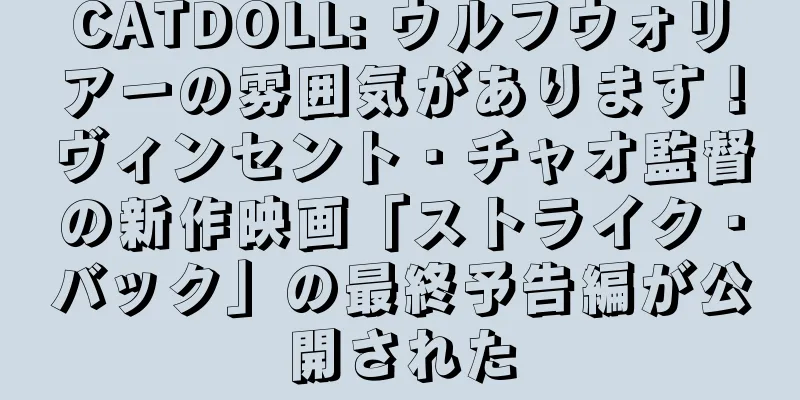 CATDOLL: ウルフウォリアーの雰囲気があります！ヴィンセント・チャオ監督の新作映画「ストライク・バック」の最終予告編が公開された