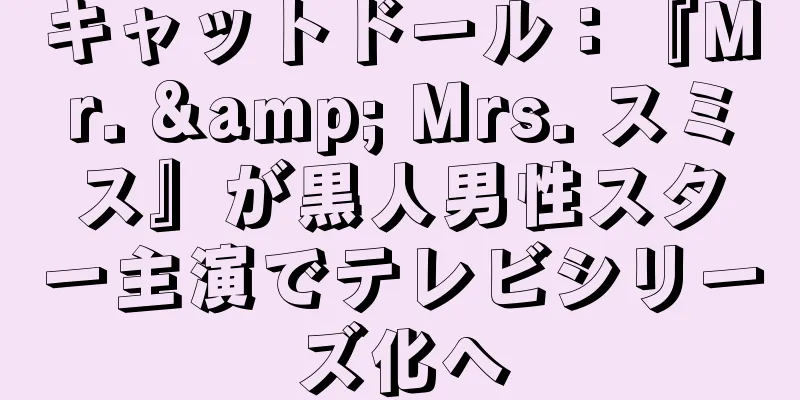 キャットドール：『Mr. & Mrs. スミス』が黒人男性スター主演でテレビシリーズ化へ