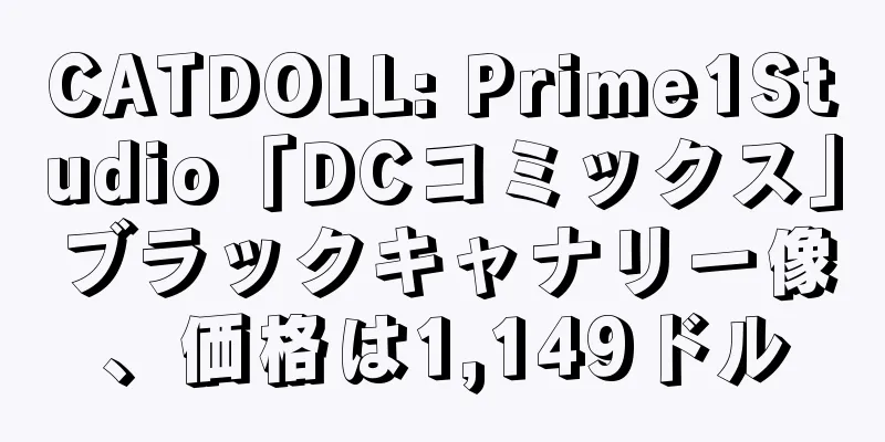 CATDOLL: Prime1Studio「DCコミックス」ブラックキャナリー像、価格は1,149ドル