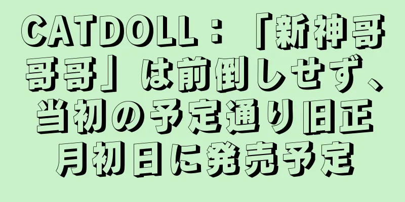 CATDOLL：「新神哥哥哥」は前倒しせず、当初の予定通り旧正月初日に発売予定