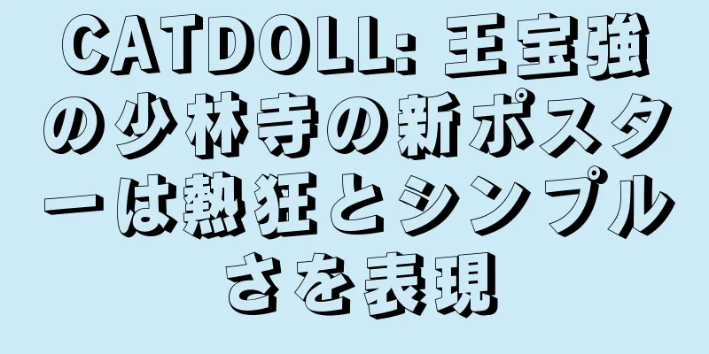 CATDOLL: 王宝強の少林寺の新ポスターは熱狂とシンプルさを表現