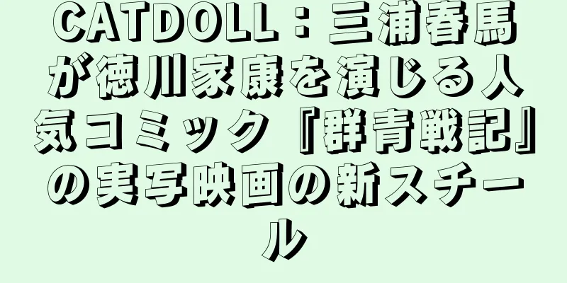 CATDOLL：三浦春馬が徳川家康を演じる人気コミック『群青戦記』の実写映画の新スチール