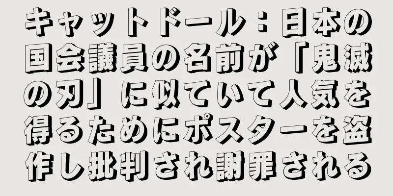 キャットドール：日本の国会議員の名前が「鬼滅の刃」に似ていて人気を得るためにポスターを盗作し批判され謝罪される