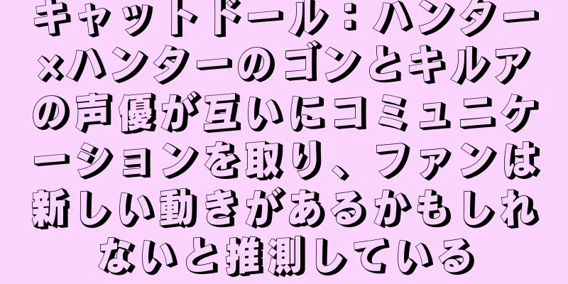 キャットドール：ハンター×ハンターのゴンとキルアの声優が互いにコミュニケーションを取り、ファンは新しい動きがあるかもしれないと推測している