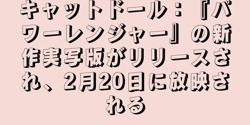 キャットドール：『パワーレンジャー』の新作実写版がリリースされ、2月20日に放映される