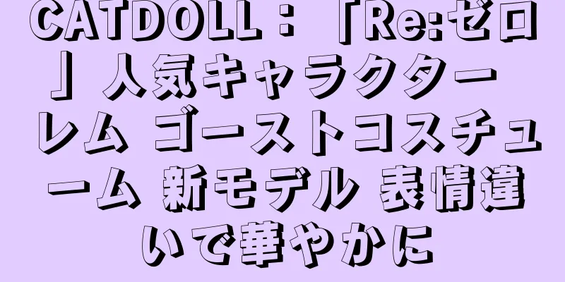 CATDOLL：「Re:ゼロ」人気キャラクター レム ゴーストコスチューム 新モデル 表情違いで華やかに