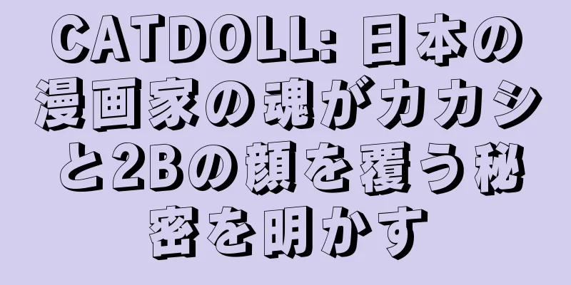 CATDOLL: 日本の漫画家の魂がカカシと2Bの顔を覆う秘密を明かす