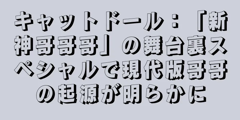 キャットドール：「新神哥哥哥」の舞台裏スペシャルで現代版哥哥の起源が明らかに
