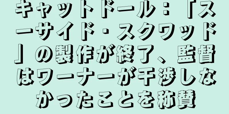 キャットドール：「スーサイド・スクワッド」の製作が終了、監督はワーナーが干渉しなかったことを称賛