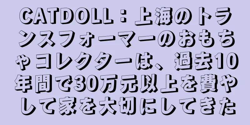CATDOLL：上海のトランスフォーマーのおもちゃコレクターは、過去10年間で30万元以上を費やして家を大切にしてきた