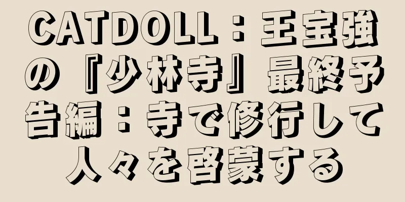 CATDOLL：王宝強の『少林寺』最終予告編：寺で修行して人々を啓蒙する