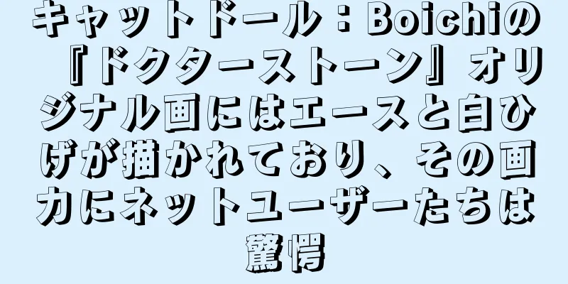キャットドール：Boichiの『ドクターストーン』オリジナル画にはエースと白ひげが描かれており、その画力にネットユーザーたちは驚愕